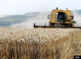 The anti-GM activists who are threatening to destroy experiment on genetically modified crops said they feel they have