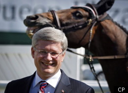 Peggy Nash, NDP finance critic, has called bill c-38 a