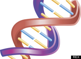 Human Genome Map