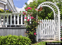 Peter Cantley's 10 secrets to having the perfect garden this summer.