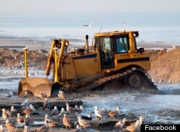 As contractors get ready to drain and clean the Malibu Lagoon, activists say they are prepared to stand up to bulldozers in opposition.