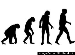 Gallup poll shows little change in percentage of Americans who accept creationist ideas.