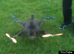 Look up! It's Orvillecopter. Dutch artist Bart Jansen turned his dead cat into a remote-controlled helicopter.