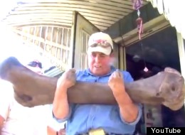 Iowa man finds mammoth bones in his backyard, ABC reports.