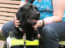 Jemma Brown with her guide dog Gus