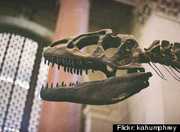 Small banks going the way of the dinosaur?