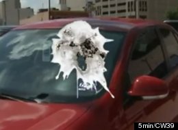 A new study suggests that birds like pooping on red cars most.