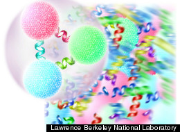 An ordinary proton or neutron (foreground) is formed of three quarks bound together by gluons, carriers of the 'color' force. Above a critical temperature, protons and neutrons 'melt' into a hot, dense soup of free quarks and gluons (background), the quark-gluon plasma.