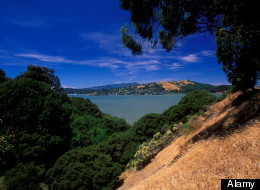 Former Vernon official Eric Fresch was found dead at Angel Island State Park.