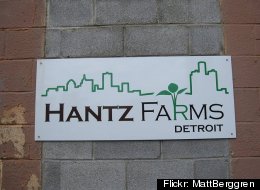 The city of Detroit is moving towards a land deal with Hantz Farms, an urban agriculture venture with big plans and lots of critics with in the urban farming movement. (Flickr: MattBerggren)