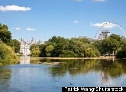 Patrick Wang/Shutterstock