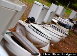Two thieves in Kristianblad, Sweden, are accused of stealing a toilet seat from their local courthouse.