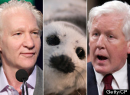 Liberal interim leader Bob Rae tells HBO's Bill Maher the Canada's seal hunt is being singled out unfairly and celebrities should find more worthy causes to find for.