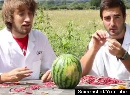 Gavin Free and Daniel Gruchy have lots of rubberbands and lots of time on their hands.