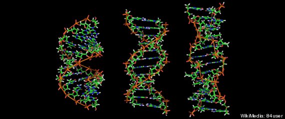 dna testing online