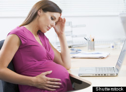 Shutterstock