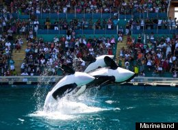 Marineland