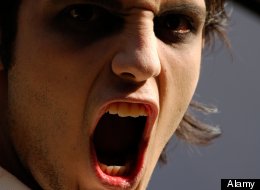 Sink your teeth in and enjoy!