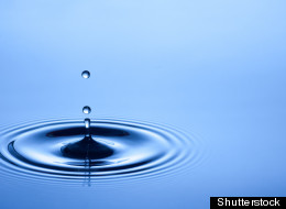 (Shutterstock)
