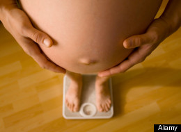 High fibre diet could help keep that baby weight off