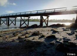 Timelapse video showcases B.C. at its finest (Vimeo)