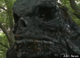 Many attractions at the Valley of Fear were damaged in the fire.