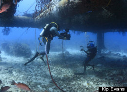 Filming at the Aquarius Reef Base with IMAX cameras to raise awareness of ocean research and conservation.