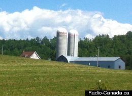 Radio-Canada.ca