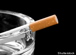 (Shutterstock)