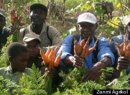 Zanmi Agrikol