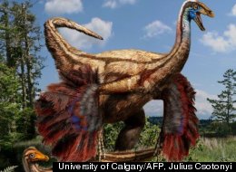 Artist's reconstruction of a feathered ornithomimid dinosaur found in Alberta, Canada.