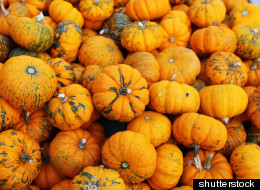 shutterstock