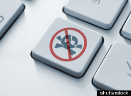 Los estafadores siempre están buscando formas nuevas de acceder a tu computadora y a tu información personal y financiera.
