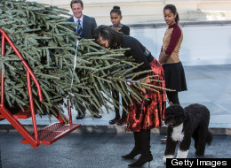 First lady Michelle Obama leans down to smell the official White House Christmas Tree after it was delivered to the White House, as her daughters Malia Obama (R) and Sasha Obama look on