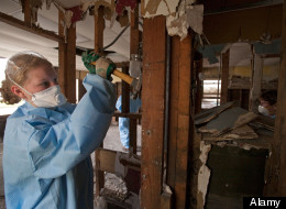 Killer zombie mould is back from the dead and attacking a central organ of the Canadian government. (Alamy)