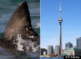 AP/Alamy