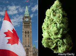The federal government is expected to unveil its new regulations for the medical marijuana program in the next few weeks and the expected changes have some doctors and other stakeholders worried. (Alamy/Getty)