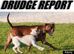 A fake Canadian news story on a bilingual dog law in Quebec has fooled the Drudge Report, Digg and New York Magazine. (Alamy)