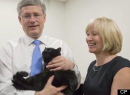 Stephen Harper's wife Laureen Harper joined Twitter over the weekend and users were quick to let her know that her love for cats is shared by the Internet. (CP)