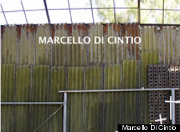 Marcello Di Cintio